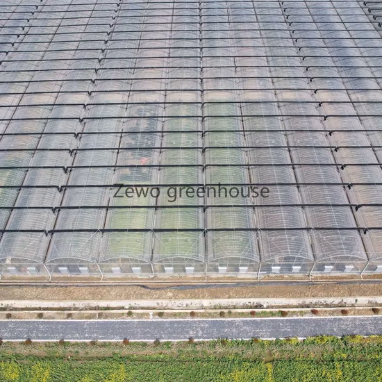 大型マルチスパンフィルムトンネル温室灌漑システムの価格