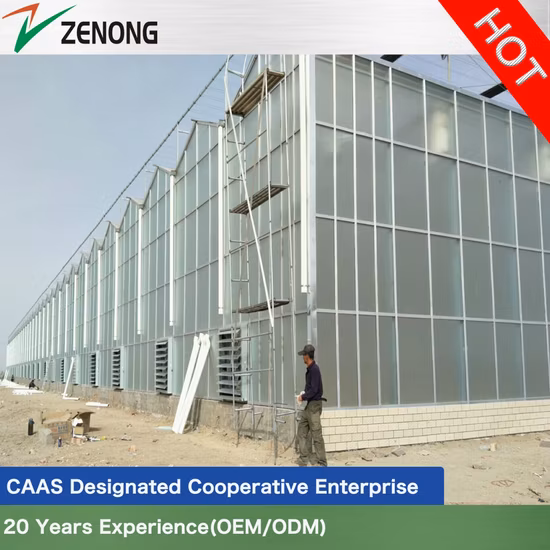 フェンロー中空二重強化ガラス温室、野菜/花/トマト/農場/庭/エコレストラン/農業用の水耕栽培システム付き