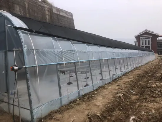 Trinog 中国製商業農場用マルチスパン水耕栽培プラスチック フィルム農業温室