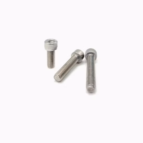 中国工場 SS304 SS316 ステンレス鋼ファスナーねじロッド/ボルトとナット/ワッシャー/アンカー/リギング/ピン/リベット/デッキネジ/六角穴付きキャップネジ