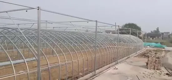 良いサービスシングルスパン新河商業温室サプライヤー抽出産業トンネル温室